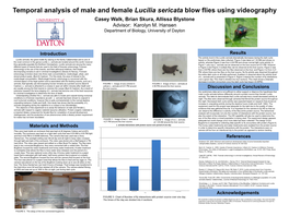 Temporal Analysis of Behavior of Male and Female Lucilia Sericata Blow