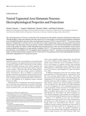 Ventral Tegmental Area Glutamate Neurons: Electrophysiological Properties and Projections