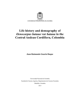 Life History and Demography of Oenocarpus Bataua Var Bataua in the Central Andean Cordillera, Colombia