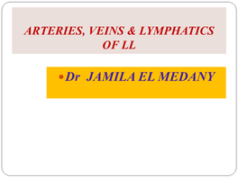 Dr JAMILA EL MEDANY ARTERIES of LOWER LIMB FEMORAL ARTERY  Is the Main Arterial Supply to the Lower Limb