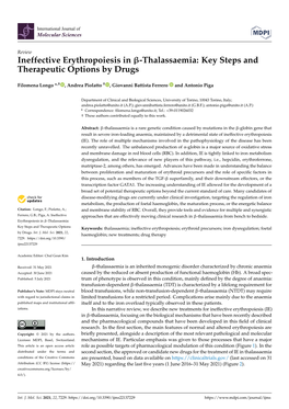 Ineffective Erythropoiesis in -Thalassaemia