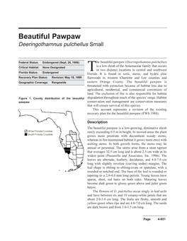 Beautiful Pawpaw Deeringothamnus Pulchellus Small