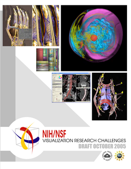 NIH-NSF Visualization Research Challenges Report