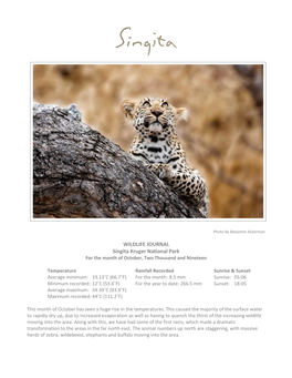 WILDLIFE JOURNAL Singita Kruger National Park for the Month of October, Two Thousand and Nineteen