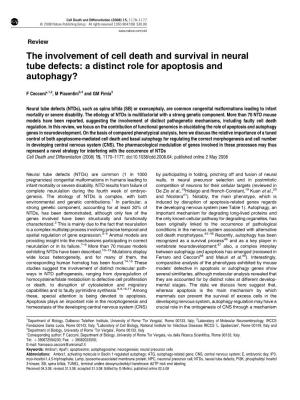 The Involvement of Cell Death and Survival in Neural Tube Defects: a Distinct Role for Apoptosis and Autophagy?