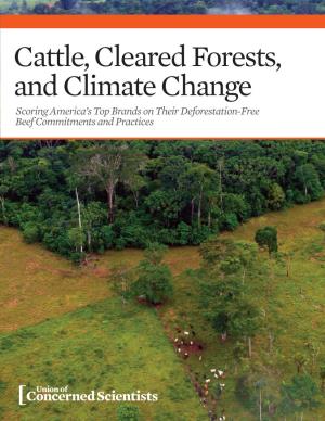 Cattle, Cleared Forests, and Climate Change