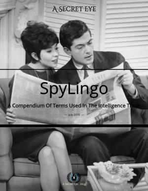 Spy Lingo — a Secret Eye