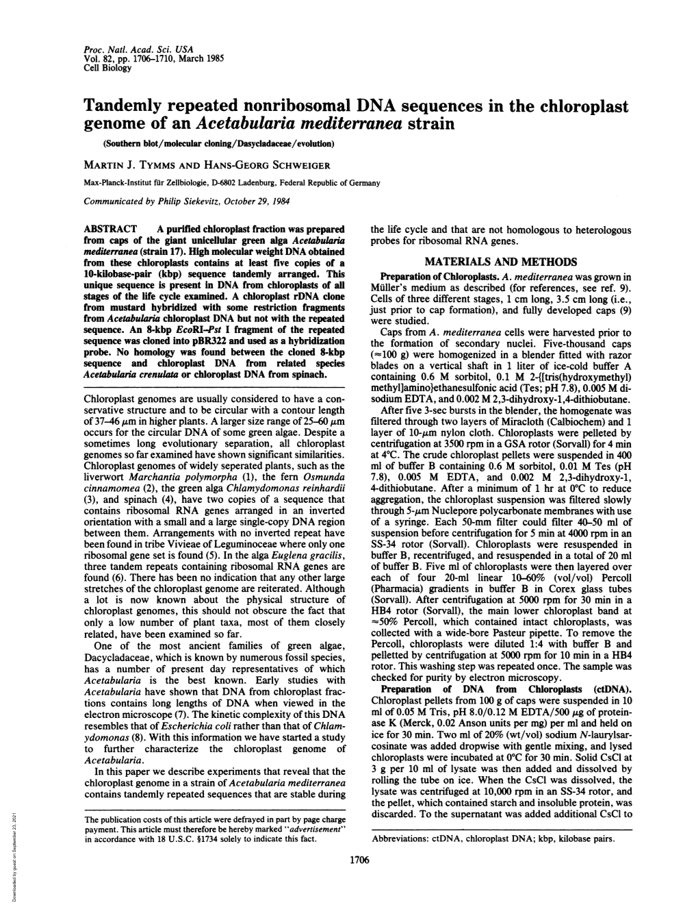 Genome of an Acetabularia Mediterranea Strain (Southern Blot/Molecular Cloning/Dasycladaceae/Evolution) MARTIN J