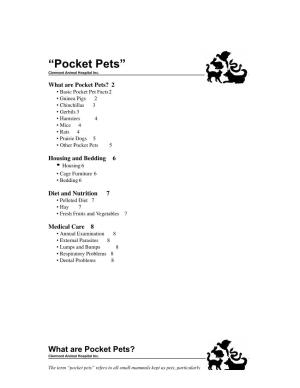 Pocket Pets” ​ Clermont Animal Hospital Inc