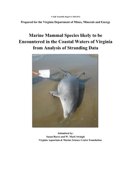 Marine Mammal Species Likely to Be Encountered in the Coastal Waters of Virginia from Analysis of Stranding Data