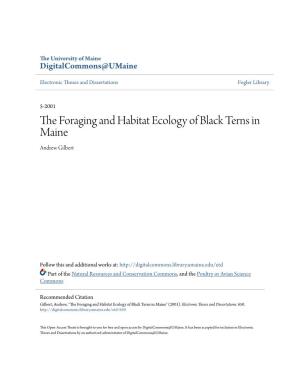 The Foraging and Habitat Ecology of Black Terns in Maine