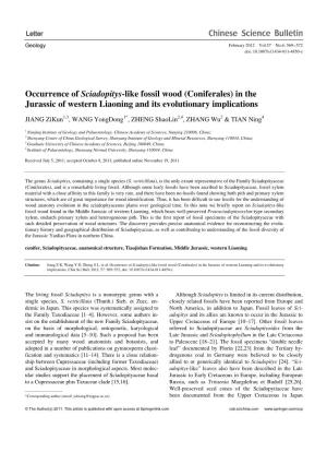 Occurrence of Sciadopitys-Like Fossil Wood (Coniferales) in the Jurassic of Western Liaoning and Its Evolutionary Implications