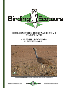 Comprehensive Premium Kenya Birding and Wildlife Safari