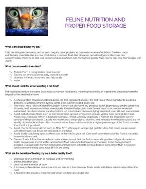 Feline Nutrition and Proper Food Storage