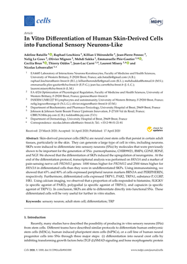 In Vitro Differentiation of Human Skin-Derived Cells Into Functional