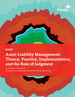 Asset-Liability Management: Theory, Practice, Implementation, and the Role of Judgment John R