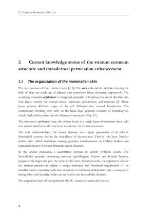 2 Current Knowledge Status of the Stratum Corneum Structure and Transdermal Permeation Enhancement