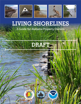 LIVING SHORELINES a Guide for Alabama Property Owners