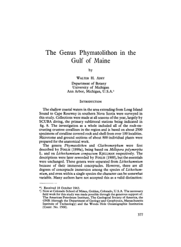 The Genus Phymatolithon in the Gulf of Maine By