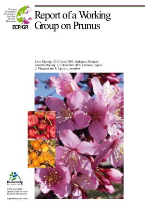 Report of a Working Group on Prunus: Sixth and Seventh Meetings