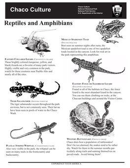 Reptile and Amphibian List RUSS 2009 UPDATE