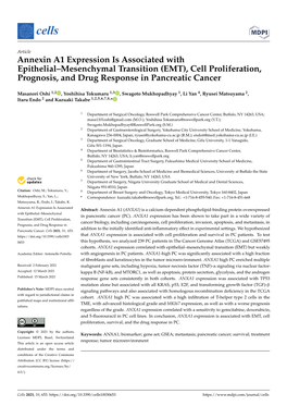 Annexin A1 Expression Is Associated with Epithelial–Mesenchymal Transition (EMT), Cell Proliferation, Prognosis, and Drug Response in Pancreatic Cancer