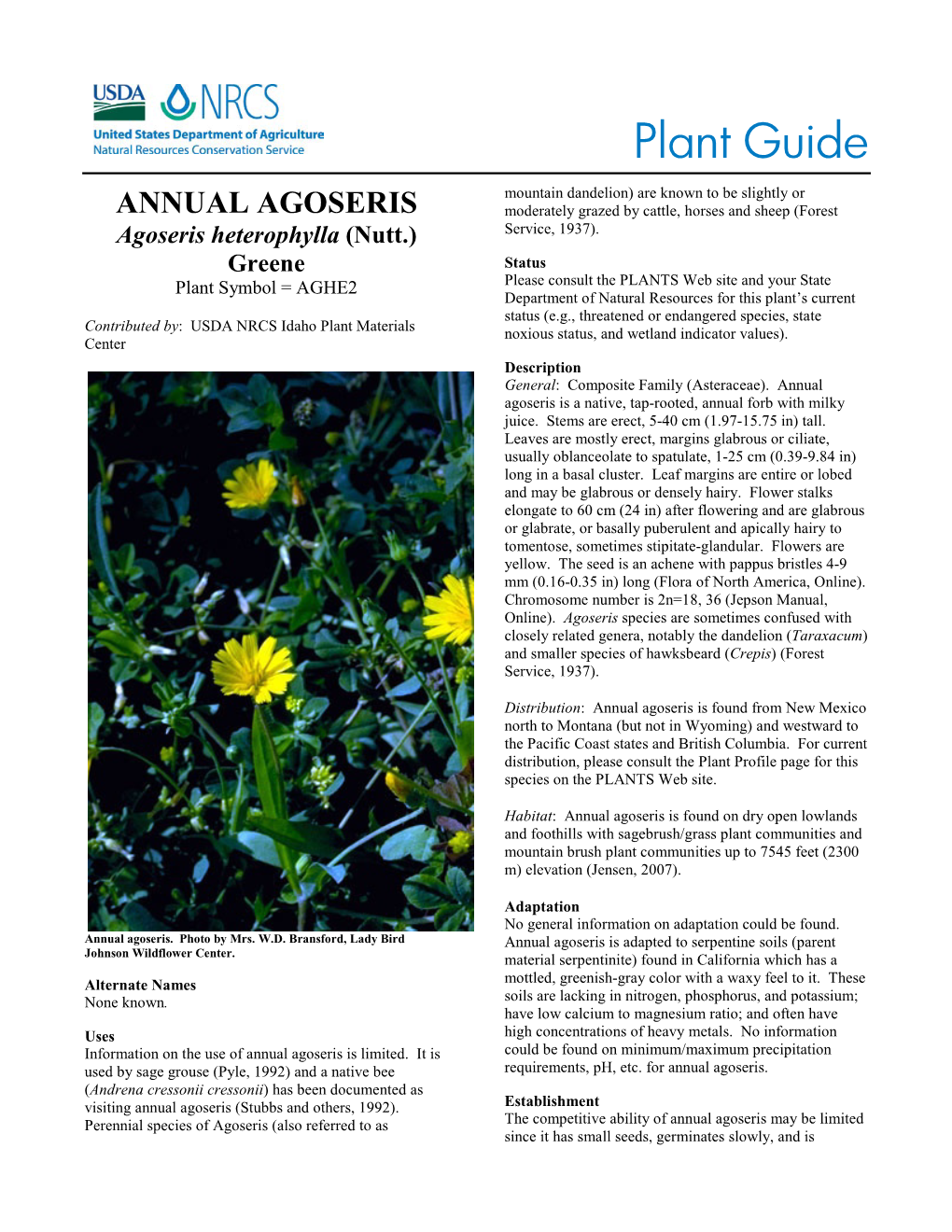 Plant Guide for Annual Agoseris (Agoseris Heterophylla)