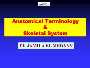 Anatomical Terminology, Skeletal System