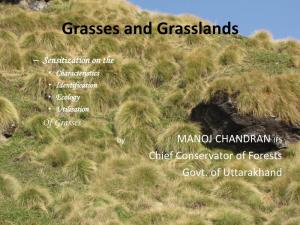 Grasses and Grasslands