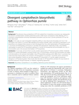 Divergent Camptothecin Biosynthetic Pathway in Ophiorrhiza Pumila