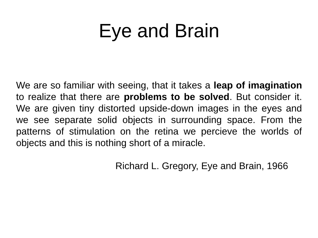 Eye and Brain