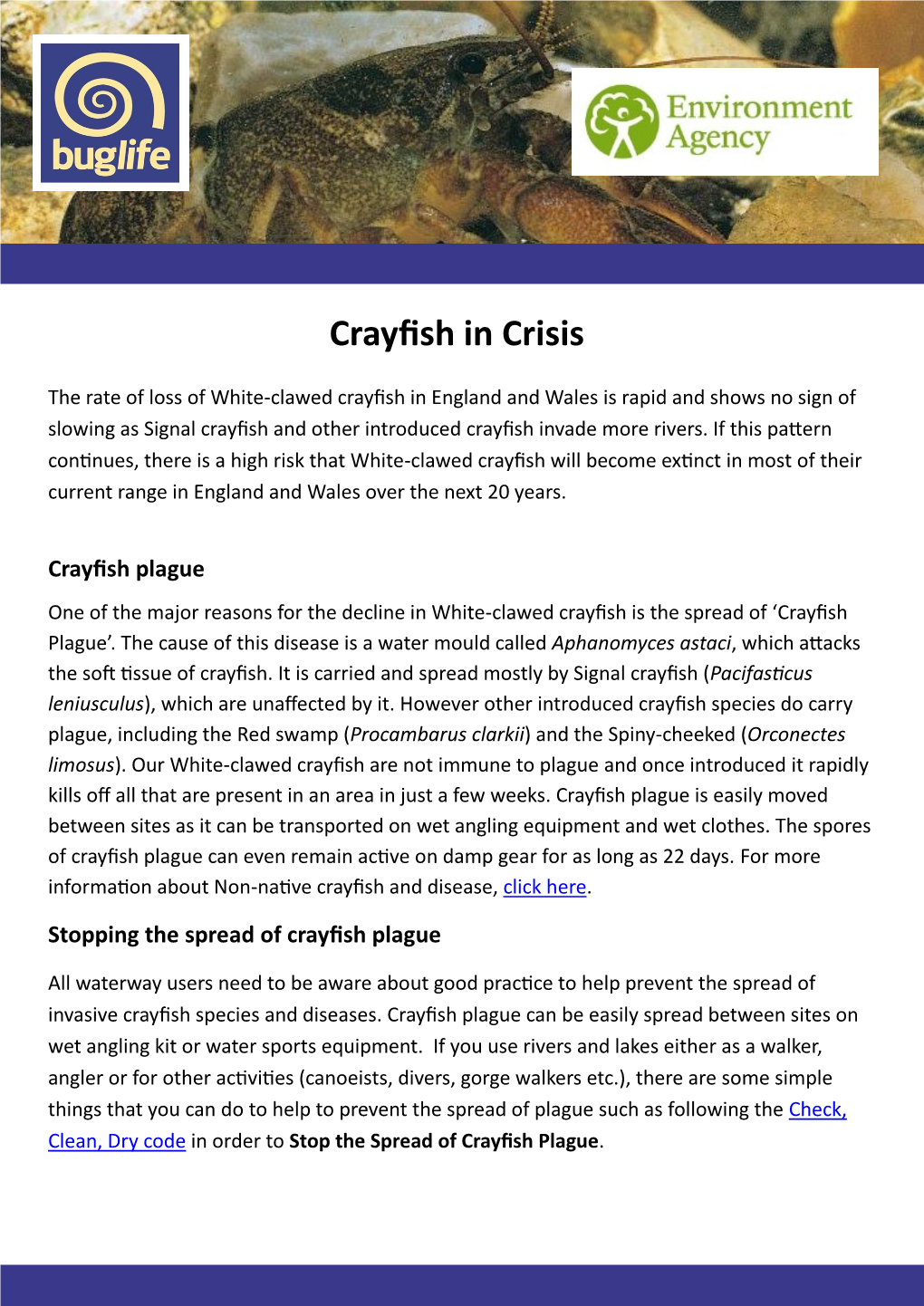Crayfish in Crisis