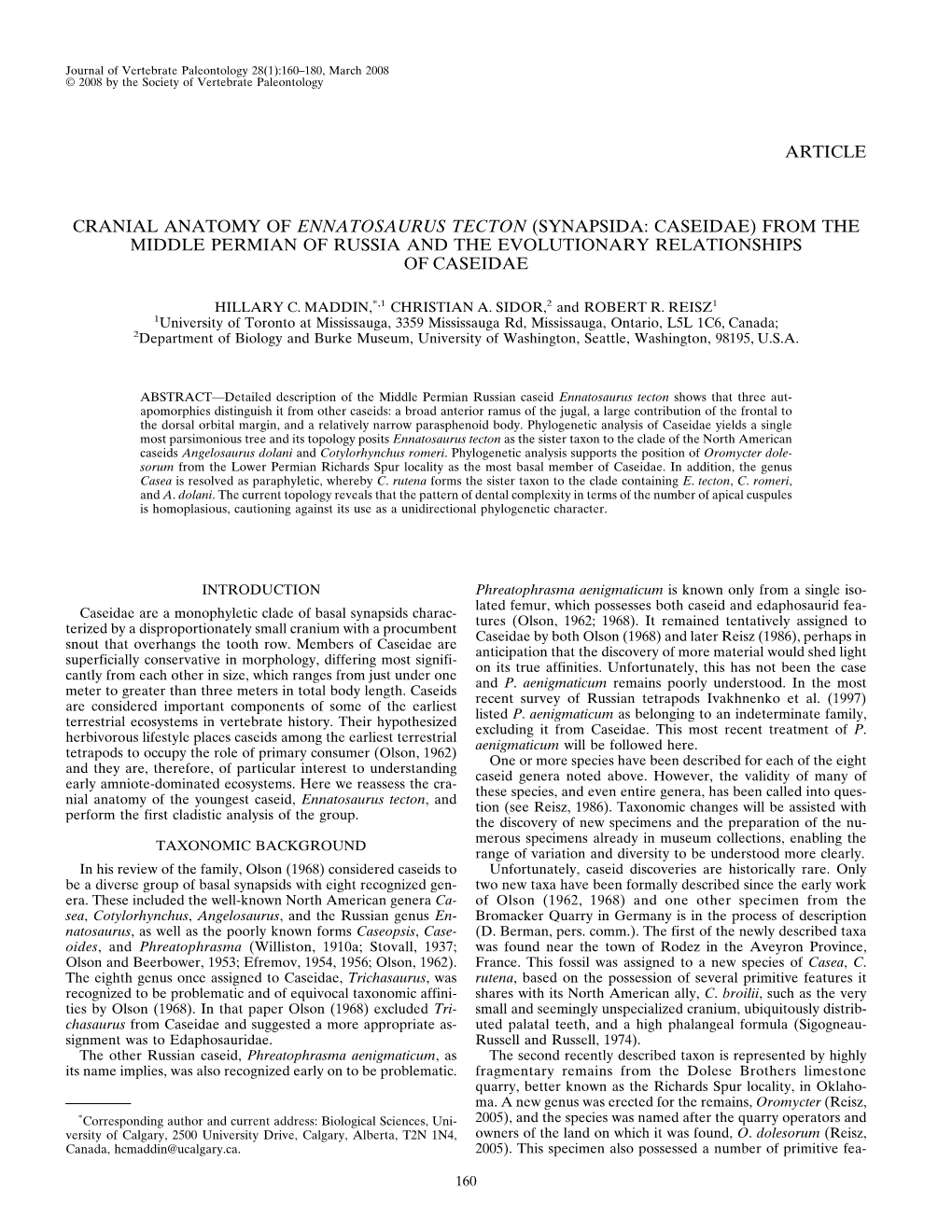 Cranial Anatomy of Ennatosaurus Tecton (Synapsida: Caseidae) from the Middle Permian of Russia and the Evolutionary Relationships of Caseidae