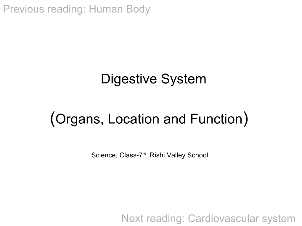 Human Body- Digestive System