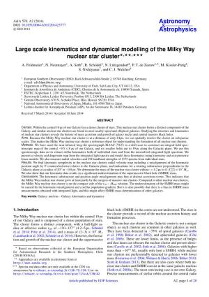 Large Scale Kinematics and Dynamical Modelling of the Milky Way Nuclear Star Cluster?,??,??? A