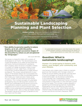 Sustainable Landscaping Planning and Plant Selection