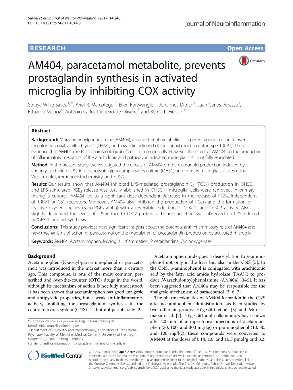 am404-paracetamol-metabolite-prevents-prostaglandin-synthesis-in