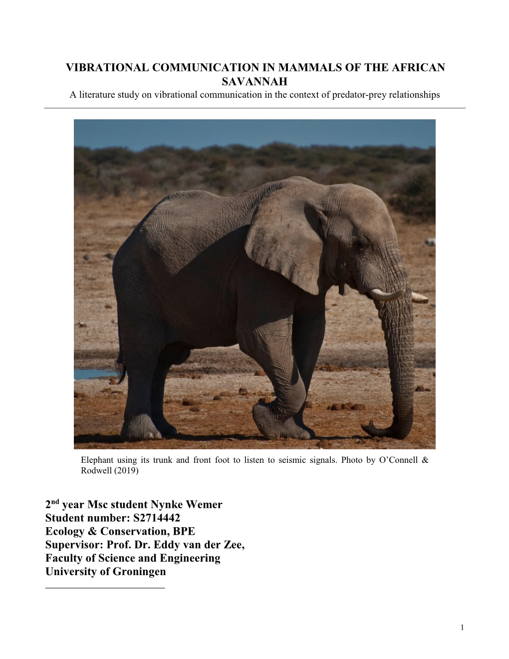 VIBRATIONAL COMMUNICATION in MAMMALS of the AFRICAN SAVANNAH a Literature Study on Vibrational Communication in the Context of Predator-Prey Relationships