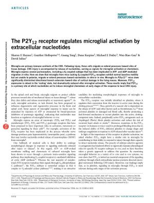 The P2Y12 Receptor Regulates Microglial Activation by Extracellular Nucleotides