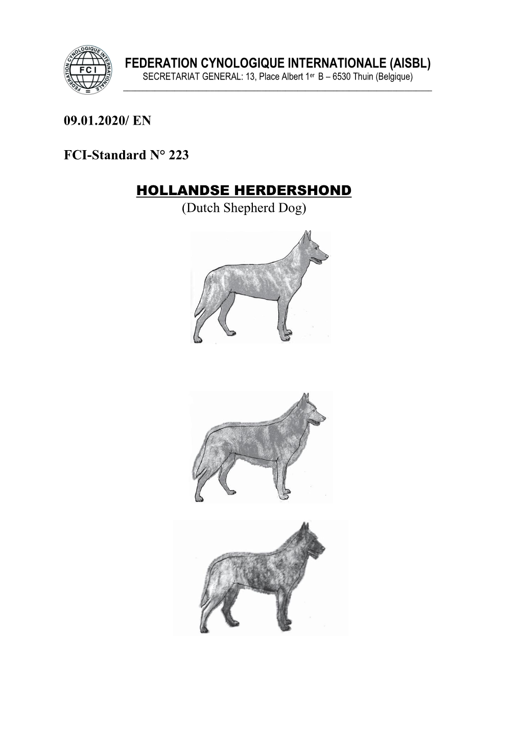 FEDERATION CYNOLOGIQUE INTERNATIONALE (AISBL) 09.01.2020/ EN FCI-Standard N° 223 HOLLANDSE HERDERSHOND (Dutch Shepherd Dog)