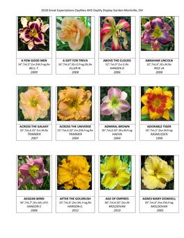 2018 Great Expectations Daylilies-AHS Daylily Display Garden-Montville, OH