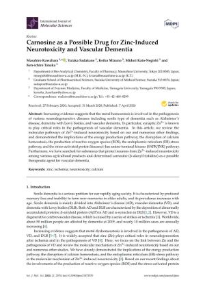 Carnosine As a Possible Drug for Zinc-Induced Neurotoxicity and Vascular Dementia