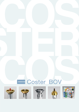 Coster BOV OVERVIEW BAG FIXED with a PLUG