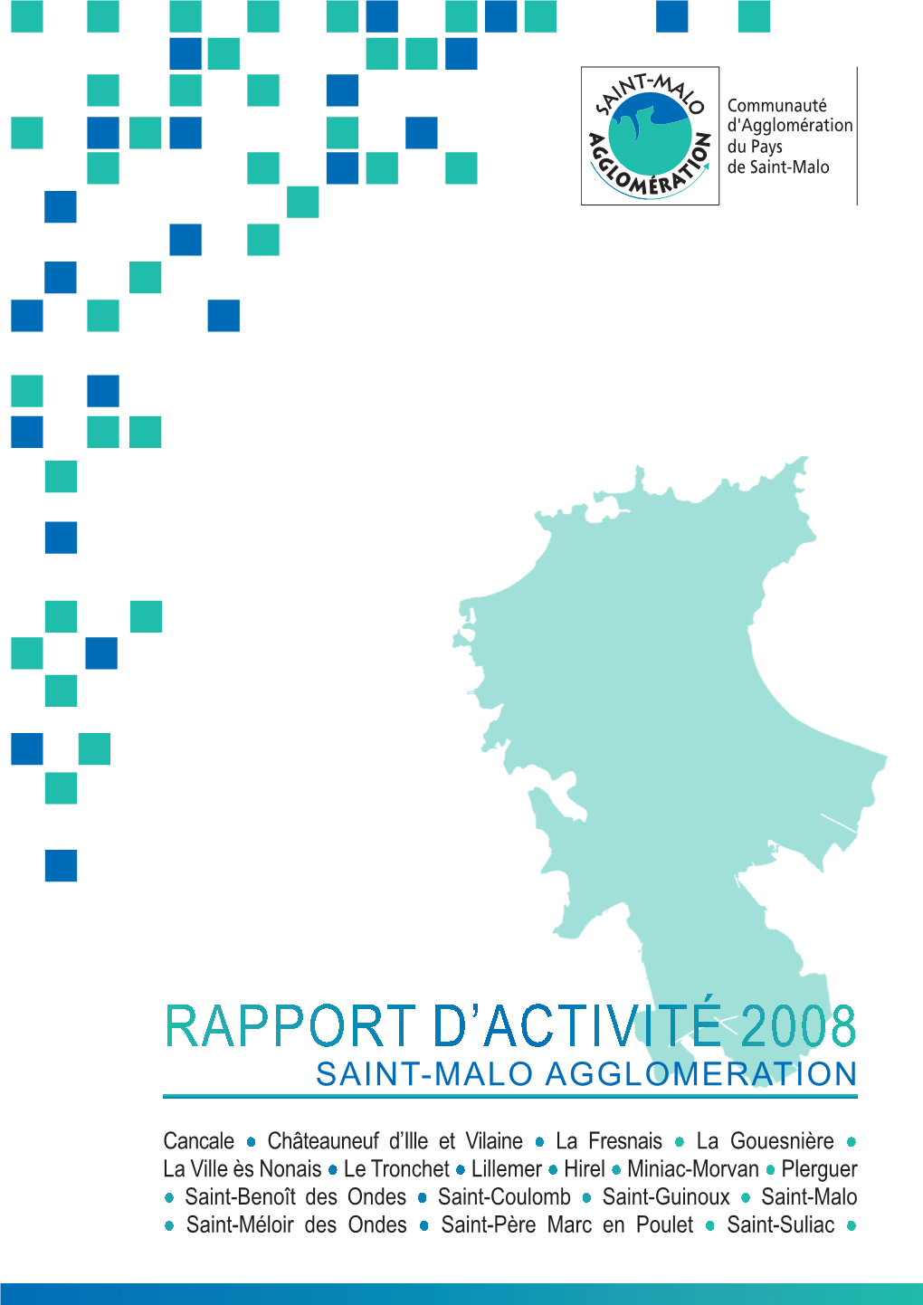 RAPPORT D'activité 2008