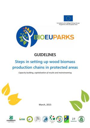 Pdfguidelines Setting up a Wood Biomass Chain
