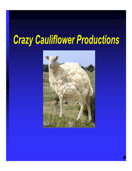 Crazy Cauliflower Productions Crazy Cauliflower Productions