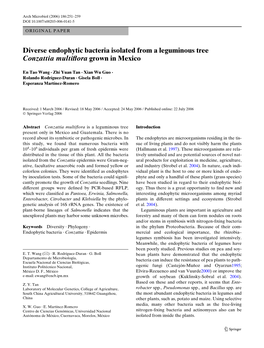 Diverse Endophytic Bacteria Isolated from a Leguminous Tree Conzattia Multixora Grown in Mexico