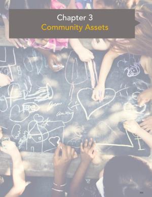 Chapter 3 Community Assets