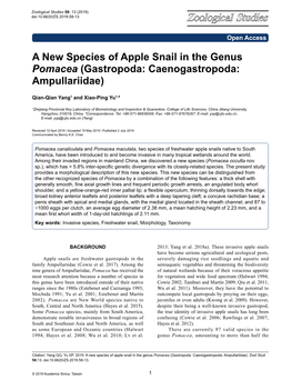 A New Species of Apple Snail in the Genus Pomacea (Gastropoda: Caenogastropoda: Ampullariidae)