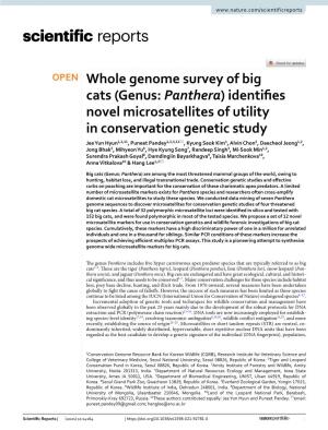 Whole Genome Survey of Big Cats (Genus: Panthera) Identifies Novel Microsatellites of Utility in Conservation Genetic Study